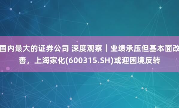 国内最大的证券公司 深度观察｜业绩承压但基本面改善，上海家化(600315.SH)或迎困境反转