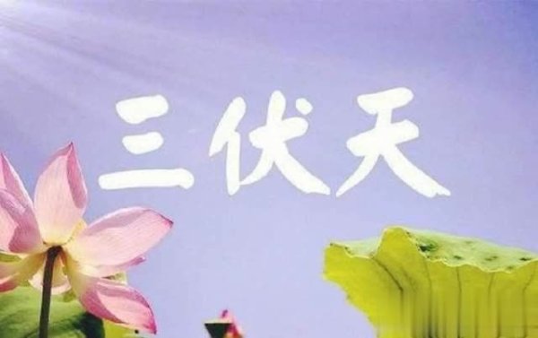 配资正规平台 三伏将至，中老年人少吃西瓜绿豆，多吃4样为入伏打基础